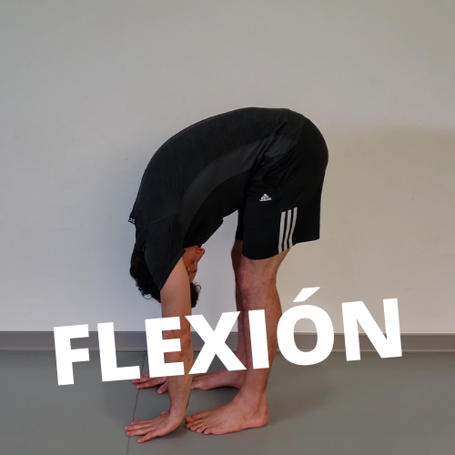 Estiramiento en flexion de espalda